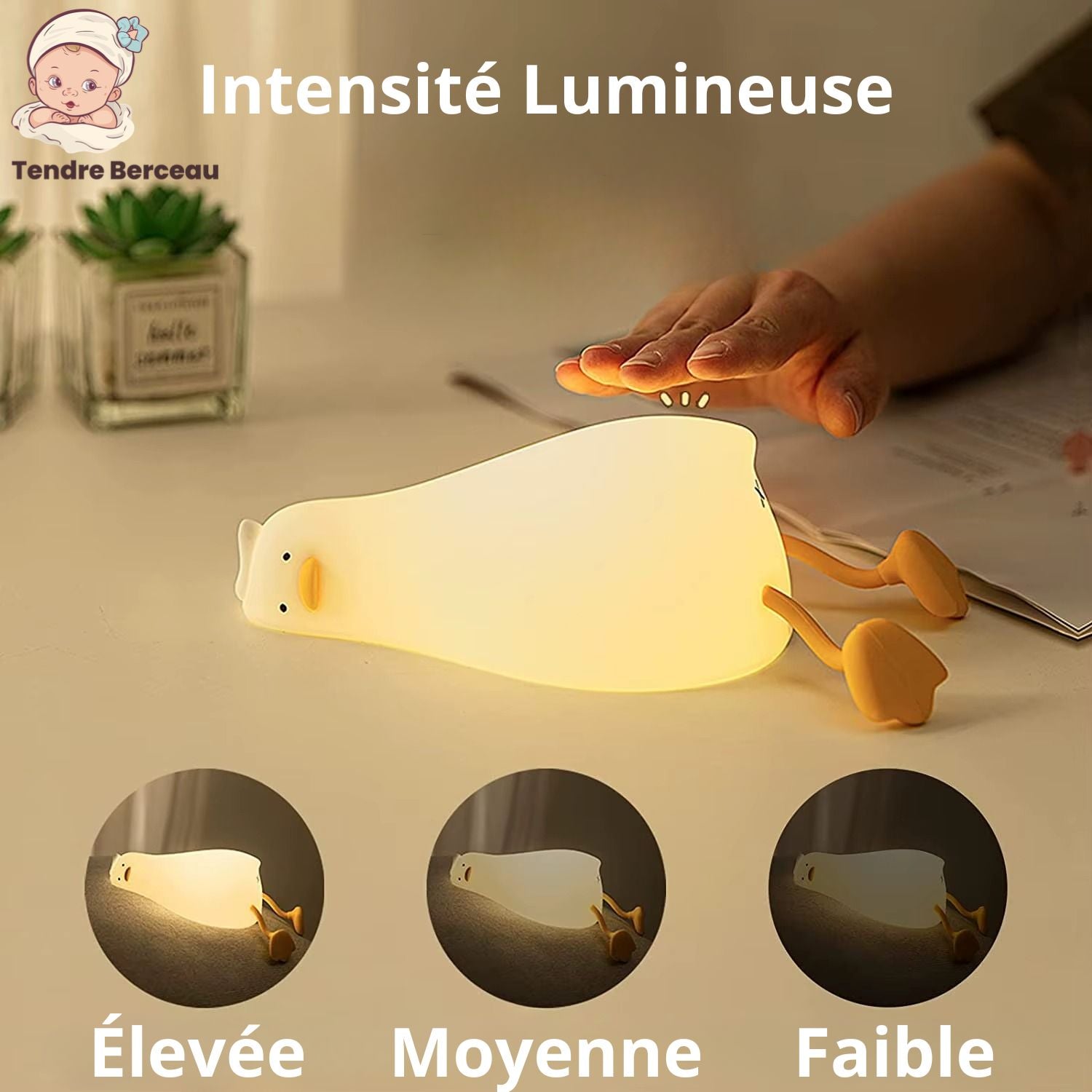 Veilleuse LED intensite lumineuse